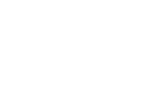 8wonder